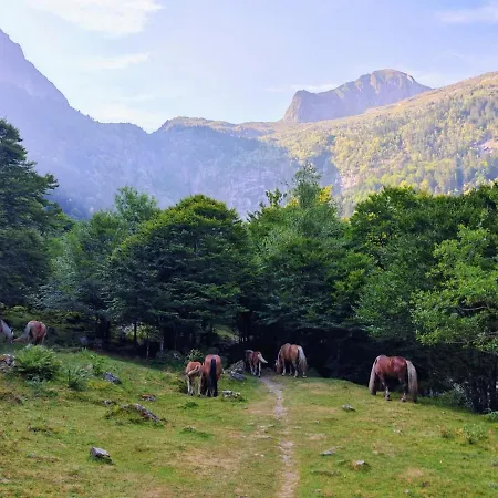 Σπίτι διακοπών Cosy A L'etage D'une Grange De Montagne Ercé